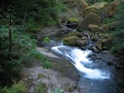 7.30.06 Wahclella Falls 036 